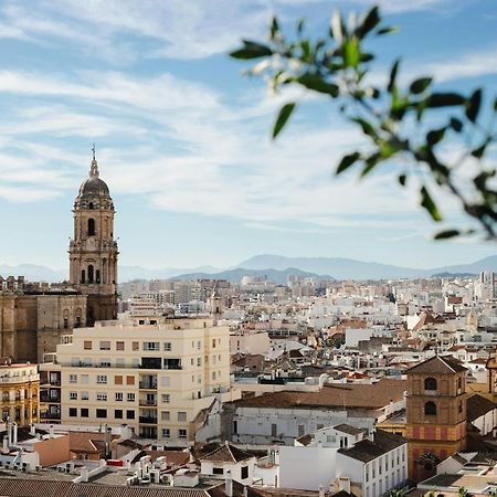 Homely Malaga Cienfuegos, Plaza De La Merced Con Vistas 外观 照片